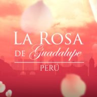 La Rosa De Guadalupe Perú Capítulos Completos